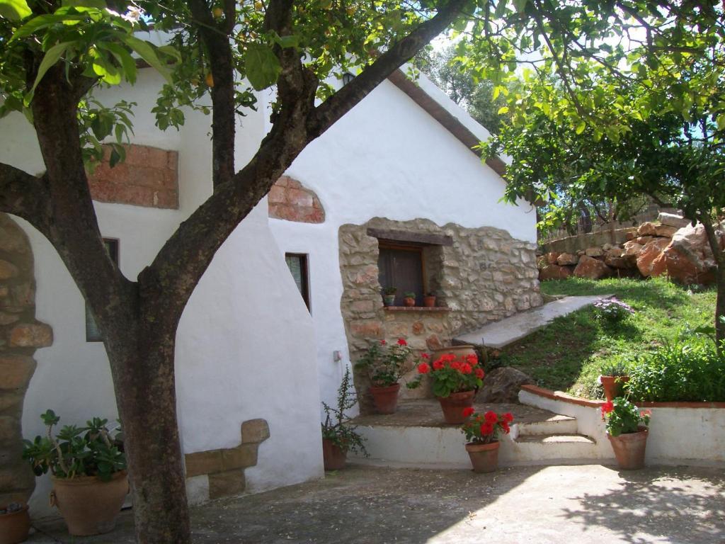 Casa De Abajo Villa Prado Del Rey Room photo