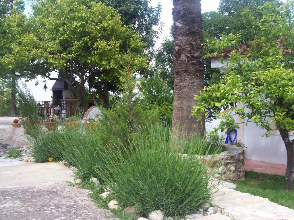 Casa De Abajo Villa Prado Del Rey Exterior photo