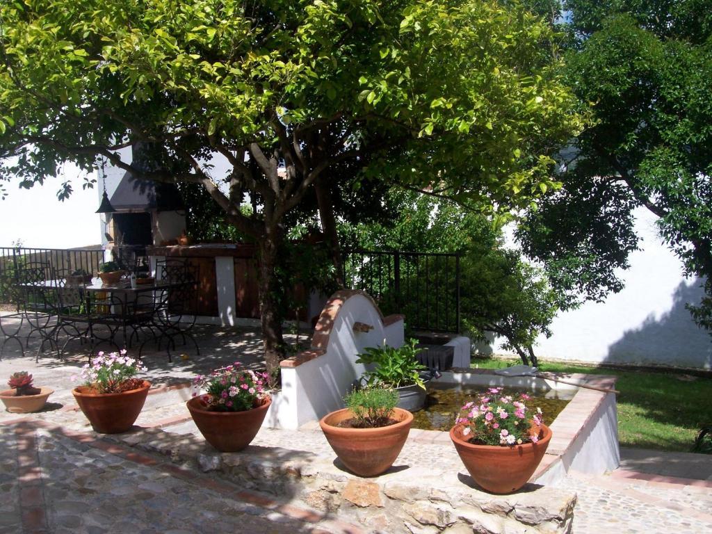 Casa De Abajo Villa Prado Del Rey Exterior photo